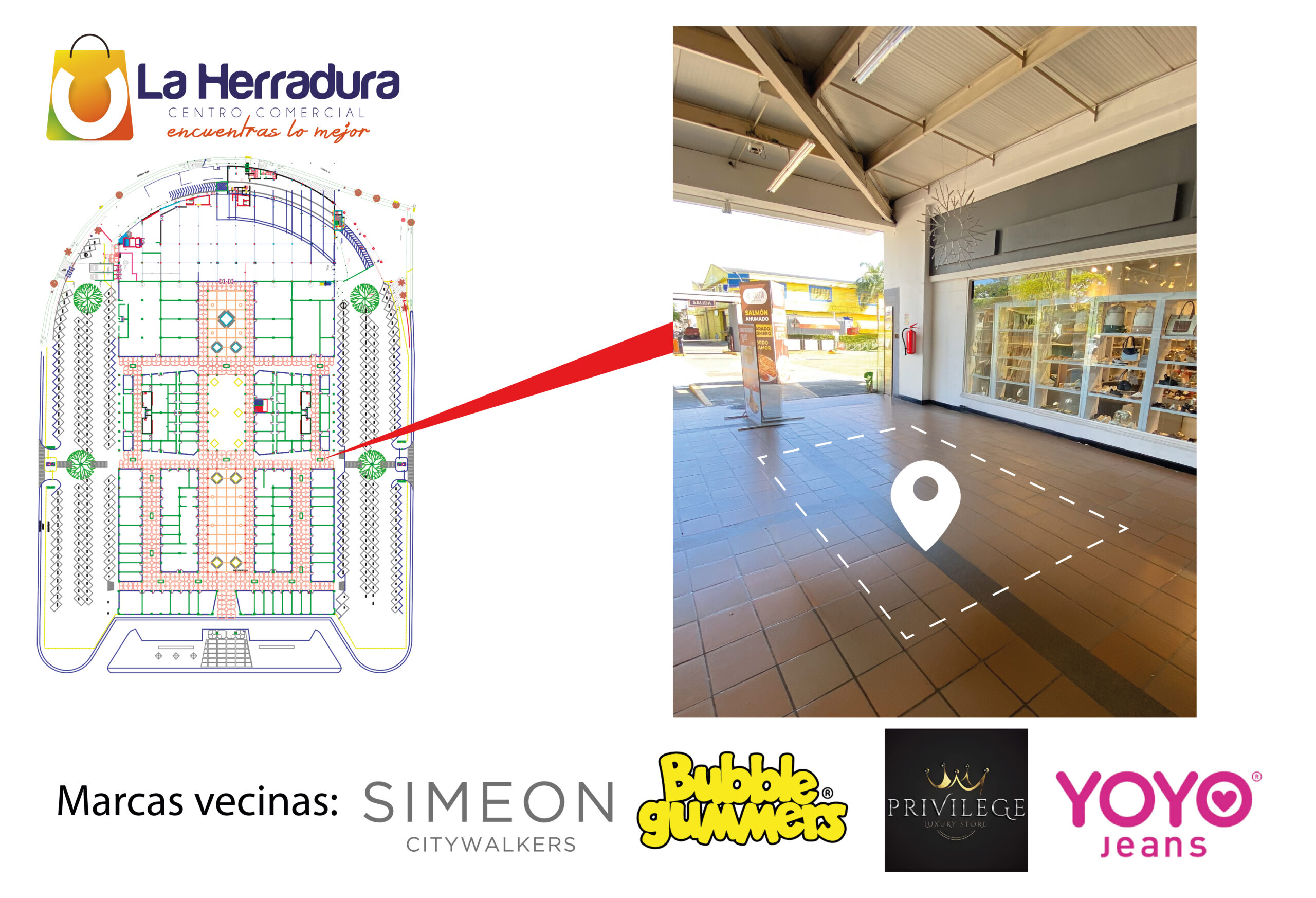 EXB 11 DESOCUPADO (1)